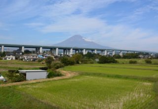 富士山を望む水田