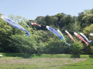 大賀茂れんげ祭り