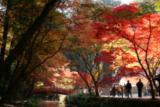 小國神社周辺の四季