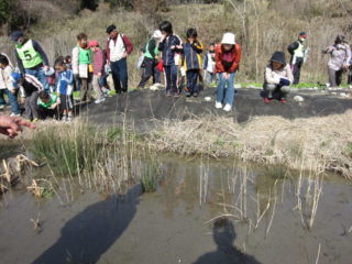 アソガ谷ビオトープ