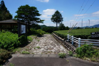 菊坂　旧東海道石畳