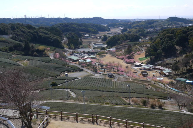 あらさわふる里公園