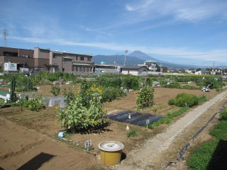 条理制の形跡（奈良時代にかけて整備）