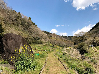 昔ながらの日本の農村風景