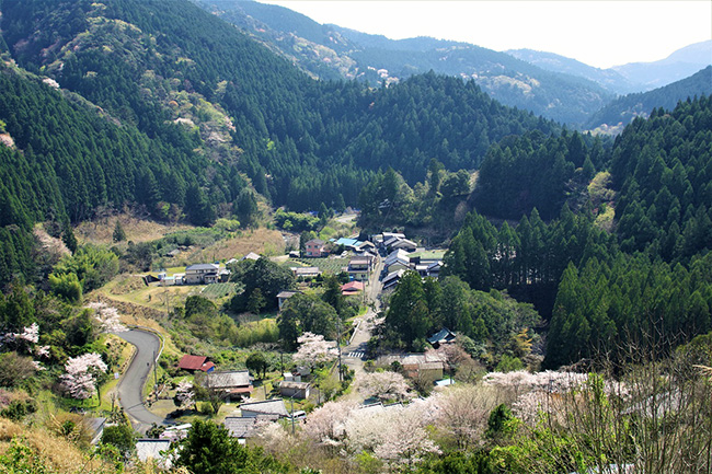 歴史と自然が奏でる里山 三倉