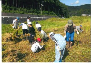 芝富小学校農業体験