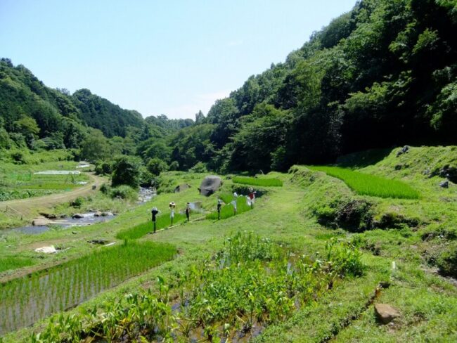 山田川自然の里