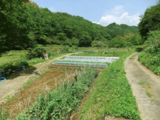 市民農園・営農ヘルパー農園・ユニバーサル農園