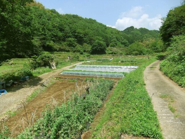 市民農園・営農ヘルパー農園・ユニバーサル農園