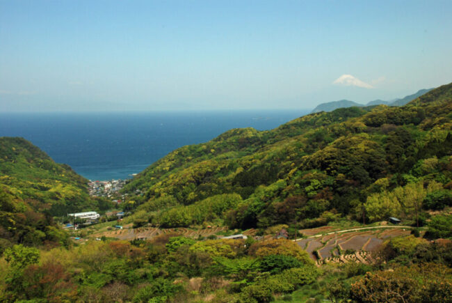 石部の棚田展望台