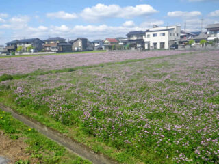 東町（島田市）