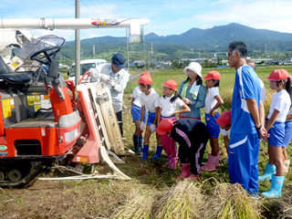 地元小学生の稲刈り体験