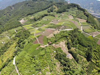 茂畑（静岡市清水区）