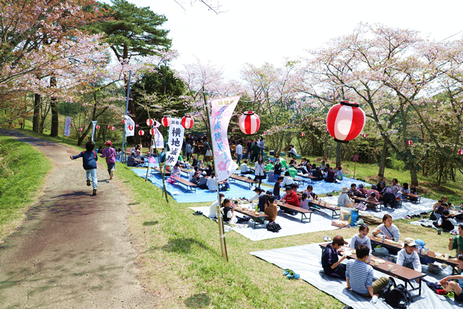 横地城跡の桜並木