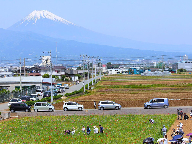 中郷地区（なかざとちく）