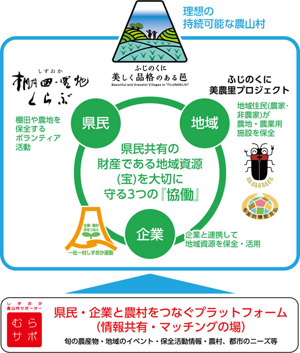 「ふじのくに美しく品格のある邑づくり」推進体制