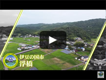 浮橋（伊豆の国市）