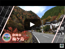 梅ヶ島(静岡市葵区)